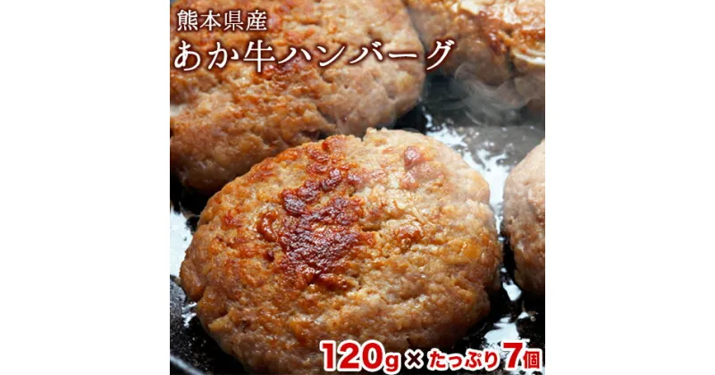 【ふるさと納税】熊本の和牛 あか牛ハンバーグ 熊本県産あか牛を使用した贅沢ハンバーグたっぷり7個入り あか牛 赤牛 あかうし《30日以内に出荷予定(土日祝除く)》送料無料 ふるさと納税 訳あり 定期便 でない