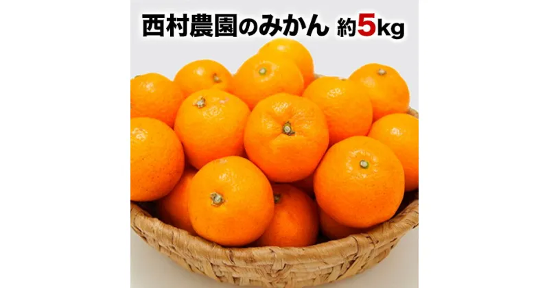 【ふるさと納税】『西村農園』のみかん★約5kg(S-Lサイズ) フルーツ 秋 旬★熊本県玉名郡玉東町 80年の老舗農家が作るジューシーみかん♪《11月下旬-12月下旬頃出荷》