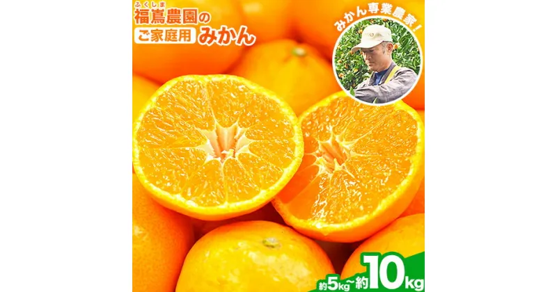 【ふるさと納税】『福嶌農園』のご家庭用みかん 約5kg 約10kg 2S-2Lサイズ 予約受付中 フルーツ 秋 旬【ご家庭用】熊本県玉名郡玉東町 甘みと酸味のバランスが絶妙♪『福嶌農園』みかん 訳あり《11月下旬-12月末頃出荷》