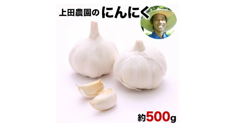 【ふるさと納税】『上田農園』のにんにく約500g 熊本県玉名郡玉東町『上田農園』にんにく《7月上旬-9月中旬頃出荷》