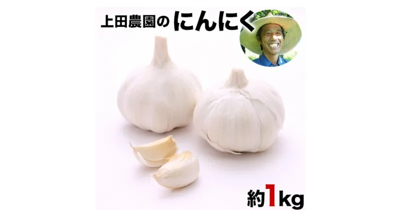 【ふるさと納税】『上田農園』のにんにく約1kg 熊本県玉名郡玉東町『上田農園』にんにく《7月上旬-9月中旬頃出荷》