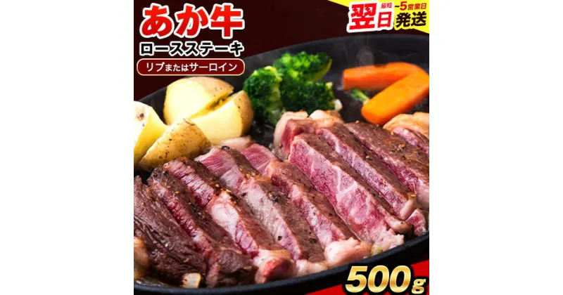 【ふるさと納税】あか牛（褐毛和種）ロースステーキ (リブまたはサーロイン) 250g×2 500g 熊本県産 肉 和牛 牛肉 赤牛 あかうし リブロース サーロイン 冷凍 《1-5営業日以内に出荷予定(土日祝除く)》送料無料 早く届く