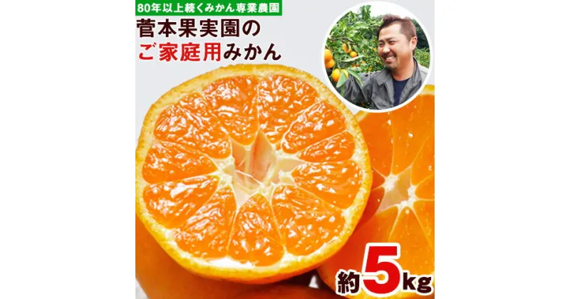 【ふるさと納税】ご家庭用『菅本果実園』のご家庭用みかん★約5kg(2S-2Lサイズ) 【日付指定不可】 フルーツ 秋 旬★熊本県玉名郡玉東町 全国にファン多数！エコファーマー菅本さんのみかん♪『菅本果実園』ちょこっと訳あり《11月下旬-12月末頃出荷》