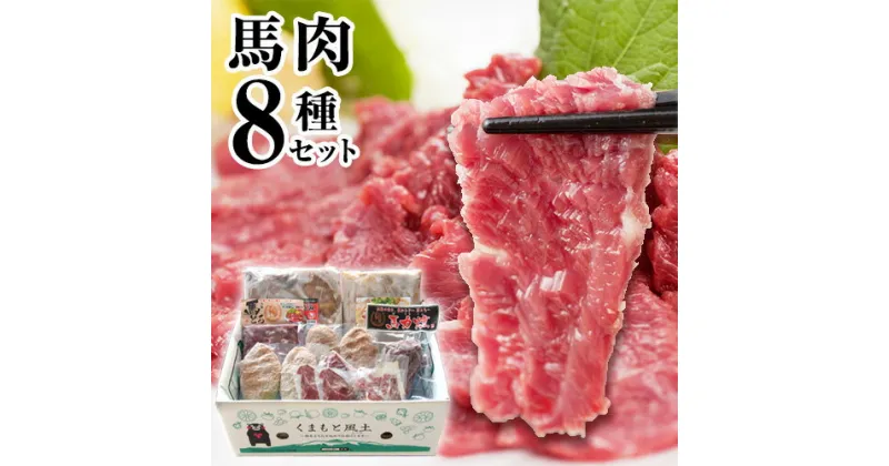 【ふるさと納税】純国産 馬肉 8種セット 計2200g 熊本肥育 2年連続農林水産大臣賞受賞 送料無料 馬刺し 馬肉 馬スジ ホルモン 燻製 霜降り ハンバーグ 熊本県玉東町《60日以内に出荷予定(土日祝除く)》