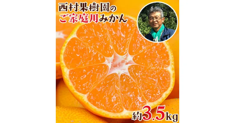 【ふるさと納税】 『西村果樹園』のみかん★約3.5kg(2S-2Lサイズ) 【日付指定不可】 フルーツ 旬★熊本県玉名郡玉東町 みかん 減農薬・有機肥料で育てた自慢のおいしさ！《10月上旬-1月下旬頃出荷》