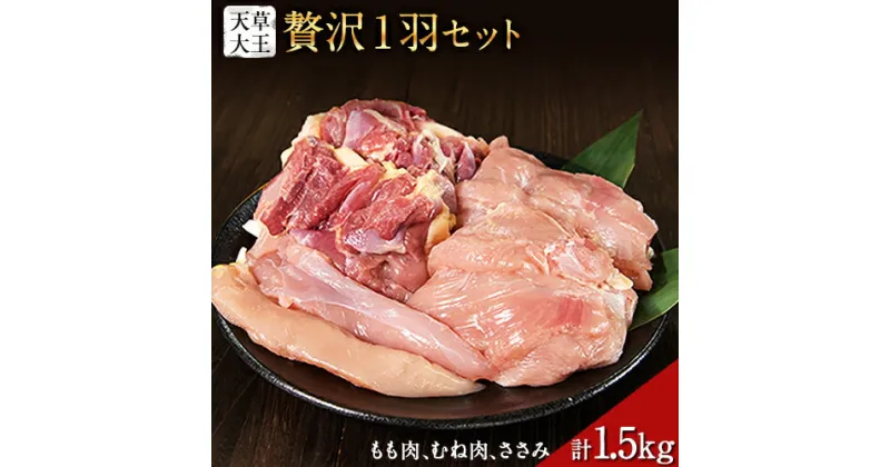 【ふるさと納税】天草大王 贅沢1羽セット 約1.5kg【幻の地鶏】もも・むね・ささみ 各2枚《60日以内に出荷予定(土日祝除く)》