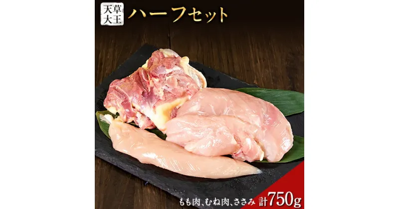 【ふるさと納税】天草大王　ハーフセット 約750g【幻の地鶏】もも・むね・ささみ各1枚 熊本県産 玉東町《60日以内に出荷予定(土日祝除く)》