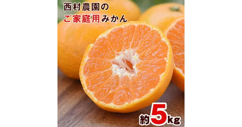 【ふるさと納税】ご家庭用『西村農園』のご家庭用みかん★約5kg(2S-2Lサイズ) フルーツ 秋 旬★熊本県玉名郡玉東町 80年の老舗農家が作るジューシーみかん♪ちょこっと訳あり《11月下旬-12月下旬頃出荷》