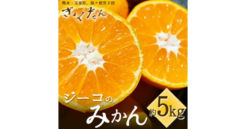 【ふるさと納税】秋 旬 フルーツ みかん ぎょくだんジーコのみかん 約5kg フルーツ 秋 旬 熊本県玉名郡玉東町『熊本・玉東、玉東町段々畑男子団。』みかん ぷらっとぎょくとう《11月上旬-12月中旬出荷(土日祝除く)》