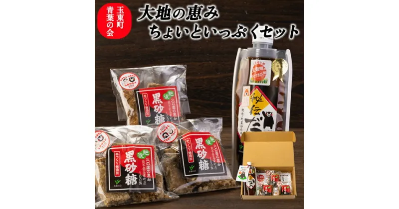 【ふるさと納税】青葉の会 大地の恵みちょいといっぷくセット《30日以内に出荷予定(土日祝除く)》黒砂糖 秘伝だれ