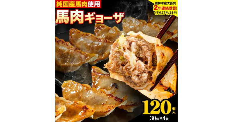 【ふるさと納税】馬肉 餃子 ギョーザ 120個 30個 × 4袋《30日以内に出荷予定(土日祝除く)》熊本県 玉東町 純国産馬肉 簡易包装 熊本肥育 ぎょうざ 馬