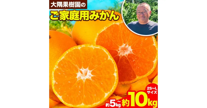 【ふるさと納税】『大隅果樹園』のご家庭用みかん 約5kg 約10kg (2S~Lサイズ) 大隅果樹園《10月下旬-12月下旬頃出荷》熊本県 玉名郡 玉東町 みかん 柑橘 フルーツ 果物 ご家庭用 訳あり