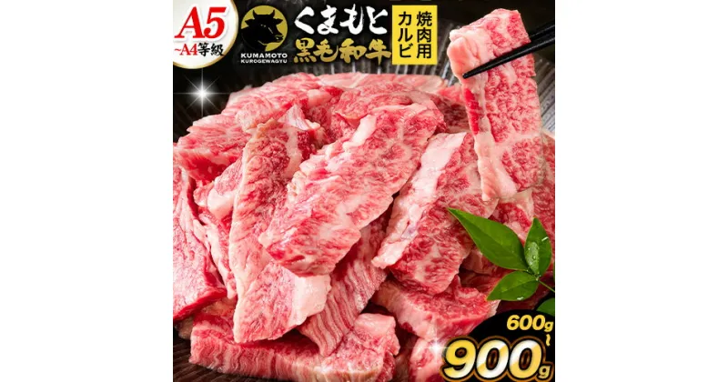 【ふるさと納税】くまもと黒毛和牛 上 カルビ 焼肉 切り落とし 600g 900g《30日以内に出荷予定(土日祝除く)》熊本県 玉東町 上カルビ 焼肉用 黒毛和牛 焼肉 肉 お肉 和牛 A5 A4 300g 小分け