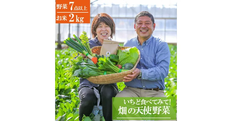 【ふるさと納税】《単品 定期便 選べる》いちど食べてみて「畑の天使」野菜 安全安心 おまかせ 詰め合わせ セット 旬の野菜 ボリューム 季節 生産者 有機 送料無料 冷蔵