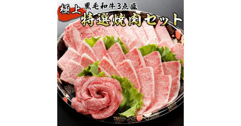 【ふるさと納税】 黒毛和牛 極上特選焼肉セット 750g 牛肉 和牛 国産牛 お肉 焼肉 BBQ 九州 熊本 冷凍 送料無料