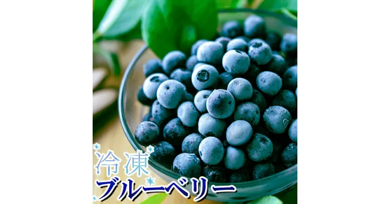 【ふるさと納税】完熟 冷凍ブルーベリー 加工用途におすすめ1.5kg （500g×3袋） 熊本県 南関町産 数量限定 朝摘み 冷凍 スムージー ジャム トッピング 送料無料