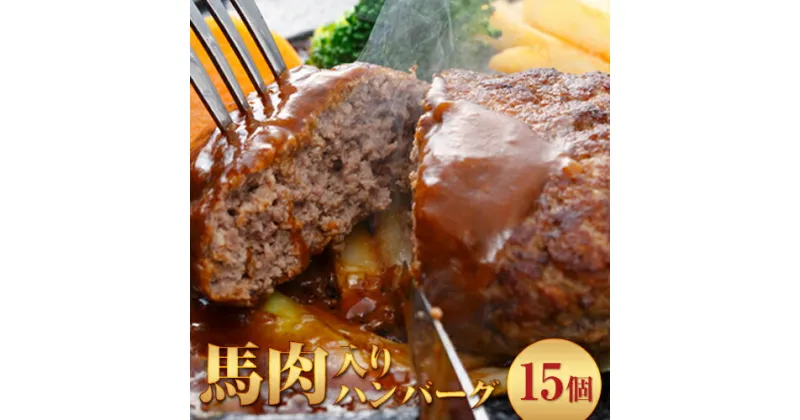 【ふるさと納税】 ハンバーグ 馬肉入り 手作りハンバーグ (約 150g × 15個 ) 肉 馬肉 馬肉ハンバーグ 手作り 冷凍 肉の宮本《45日以内に出荷予定(土日祝除く)》惣菜 おかず 肉