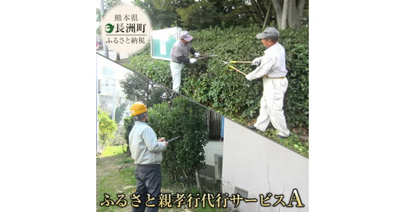 【ふるさと納税】熊本県 長洲町ふるさと親孝行代行サービスA