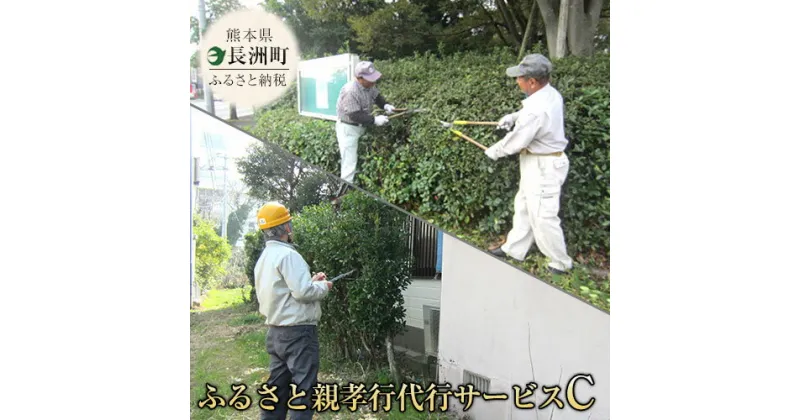 【ふるさと納税】熊本県 長洲町ふるさと親孝行代行サービスC