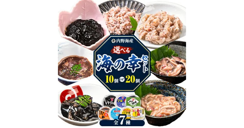 【ふるさと納税】内野海産の海の幸セット 選べる 10個入り 20個入り《45日以内に出荷予定(土日祝除く)》あみ漬 いか 海苔 佃煮 塩辛 いかすみ