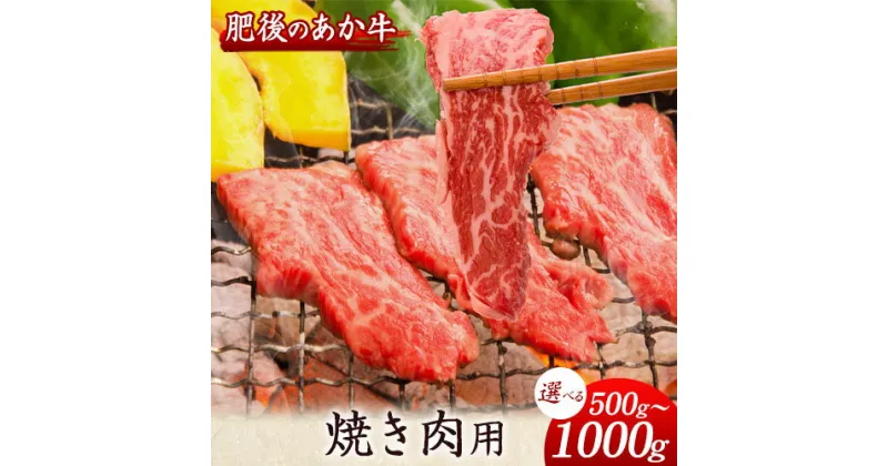 【ふるさと納税】肥後のあか牛 焼き肉用 500g 1000g 長洲501 熊本 特産 あか牛《30日以内に出荷予定(土日祝除く)》