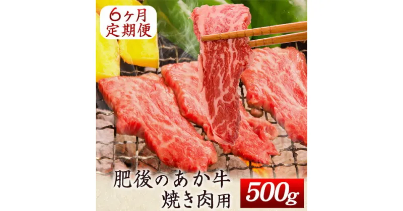 【ふるさと納税】6ヶ月定期便 肥後のあか牛 焼き肉用 約500g×6ヶ月 牛肉 長洲501 熊本 特産 あか牛《お申込み月の翌月から出荷開始》