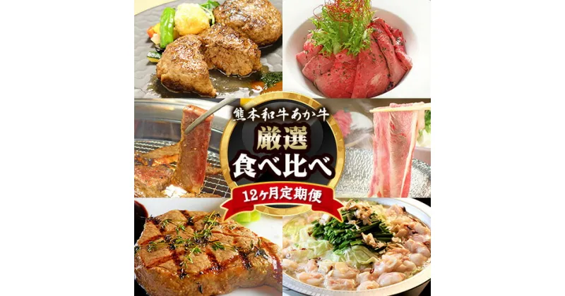 【ふるさと納税】 牛肉 【12ヶ月定期便】あか牛づくし 厳選食べ比べ《お申込み月の翌月から出荷開始》 三協畜産 あか牛ハンバーグ ロースステーキ しゃぶしゃぶ用 ランプ ミスジ 三角カルビ焼肉用 ヒレ イチボ もつ鍋 ホルモン くまモンハンバーグ ローストビーフ