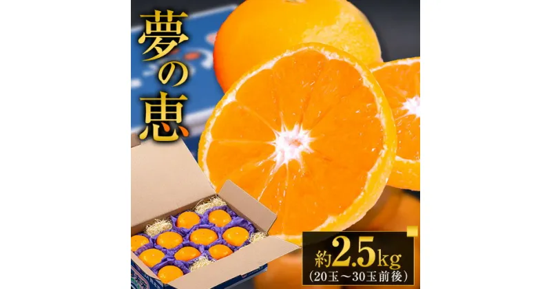 【ふるさと納税】 みかん 贈答用 秀品 夢の恵 約 2.5kg (20玉～30玉前後) 光センサー 熊本県産 （長洲町産含む） 糖度12度以上 ブランドみかん ブランド 旬 贈答用 贈り物《11月中旬-12月下旬頃出荷》 熊本県 長洲町