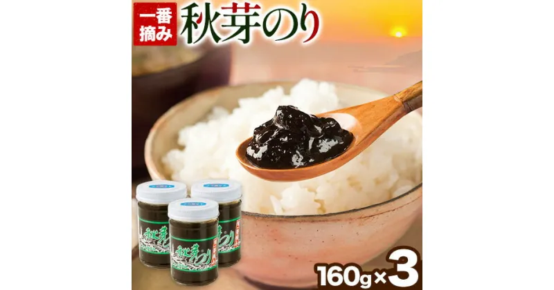 【ふるさと納税】海苔の佃煮 秋芽のり160g×3本 有明海苔 長洲町《60日以内に出荷予定(土日祝除く)》おかず お惣菜 海苔の佃煮 のり佃煮 ご飯のお供 ごはんのおとも