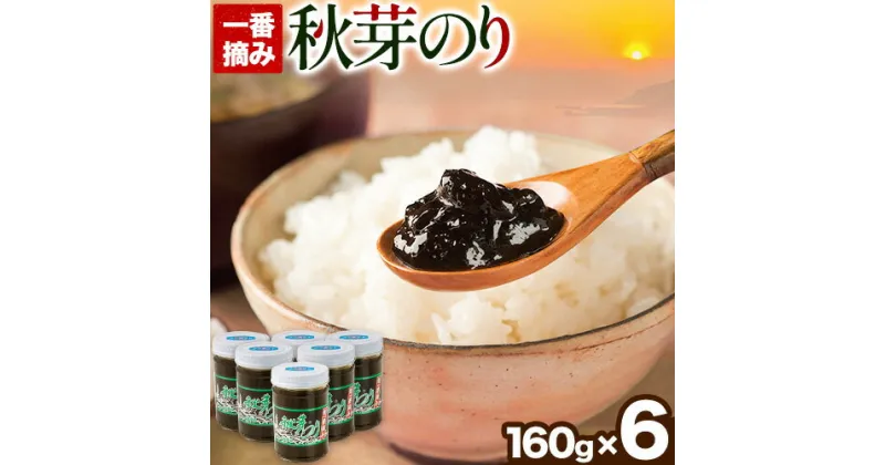 【ふるさと納税】海苔の佃煮 秋芽のり160g×6本 有明海苔 長洲町《60日以内に出荷予定(土日祝除く)》おかず お惣菜 海苔の佃煮 のり佃煮 ご飯のお供 ごはんのおとも