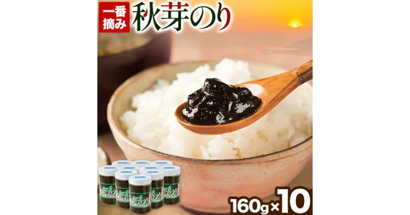 【ふるさと納税】海苔の佃煮 秋芽のり160g×10本 有明海苔 長洲町《60日以内に出荷予定(土日祝除く)》おかず お惣菜 海苔の佃煮 のり佃煮 ご飯のお供 ごはんのおとも