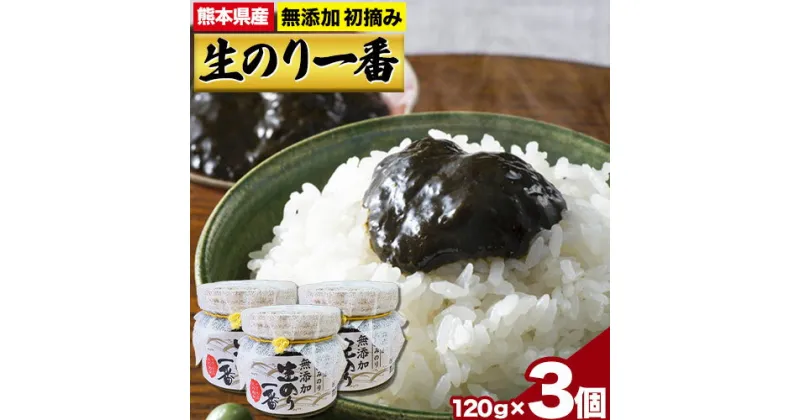 【ふるさと納税】生のり一番 長洲町《90日以内に出荷予定(土日祝除く)》おかず お惣菜 海苔の佃煮 のり佃煮 ご飯のお供 ごはんのおとも ギフト お土産 手土産