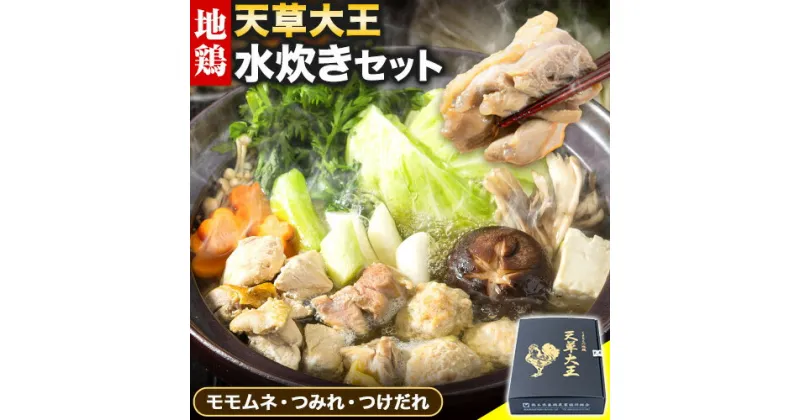 【ふるさと納税】【幻の地鶏】天草大王 水炊き セット 大海水産株式会社《45日以内に出荷予定(土日祝除く)》熊本県 長洲町 水炊き 鍋 地鶏 チキン 鶏肉 モモムネ つみれ つけだれ 酒 あて 夕食 送料無料