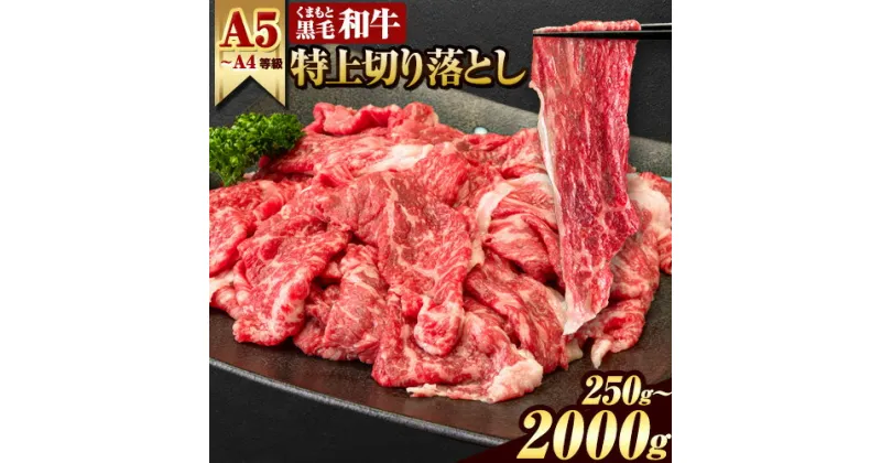 【ふるさと納税】くまもと黒毛和牛 ウデ・モモ 赤身切り落とし 250g 500g 1000g 1500g 2000g 牛肉 冷凍 《60日以内に出荷予定(土日祝除く)》冷凍庫 個別 取分け 小分け 個包装 モモ スライス 肉 お肉 しゃぶしゃぶ すき焼き A5 A4　長洲町