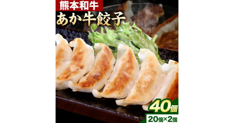 【ふるさと納税】熊本和牛 あか牛 餃子 40個 ( 20個 × 2 ) 三協畜産 《60日以内に出荷予定(土日祝除く)》 熊本県 長洲町 ぎょうざ ギョーザ 牛肉 牛 送料無料