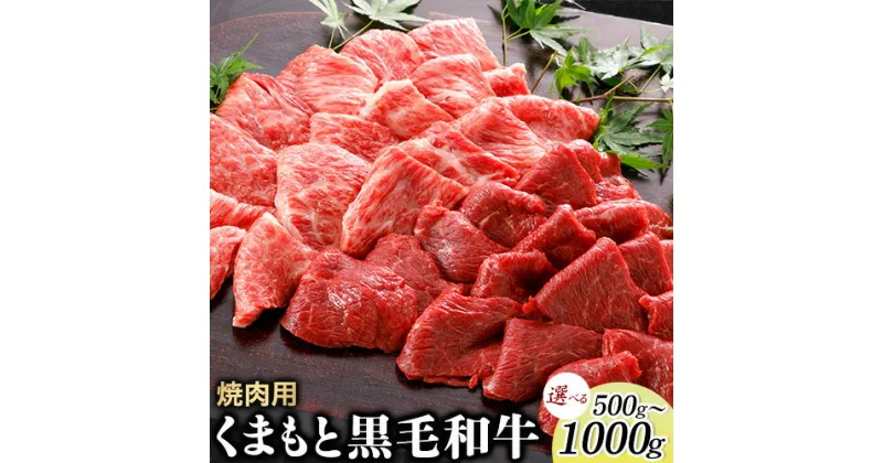 【ふるさと納税】牛肉 くまもと黒毛和牛 焼肉用 500g 1000g 肉 黒毛和牛 焼肉 長洲501《30日以内に出荷予定(土日祝除く)》