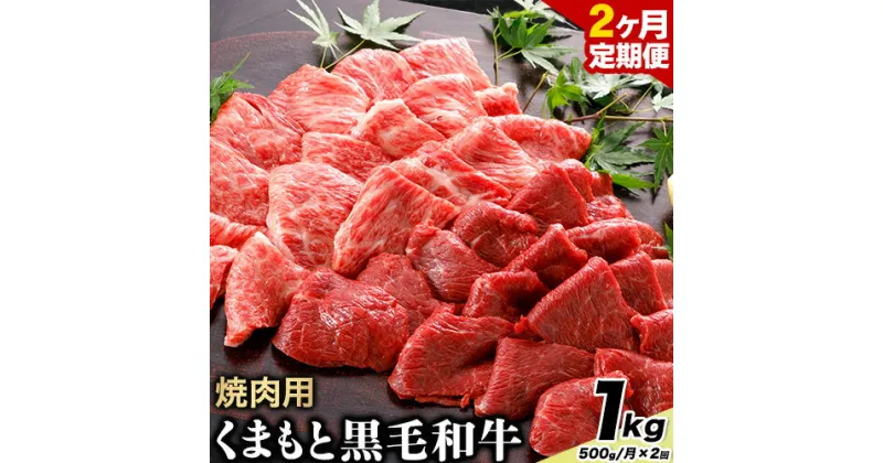 【ふるさと納税】【2ヶ月定期便】牛肉 くまもと黒毛和牛 焼肉用 500g 計1kg 長洲501《お申込み月翌月以降の出荷月から出荷開始》定期便 計2回お届け