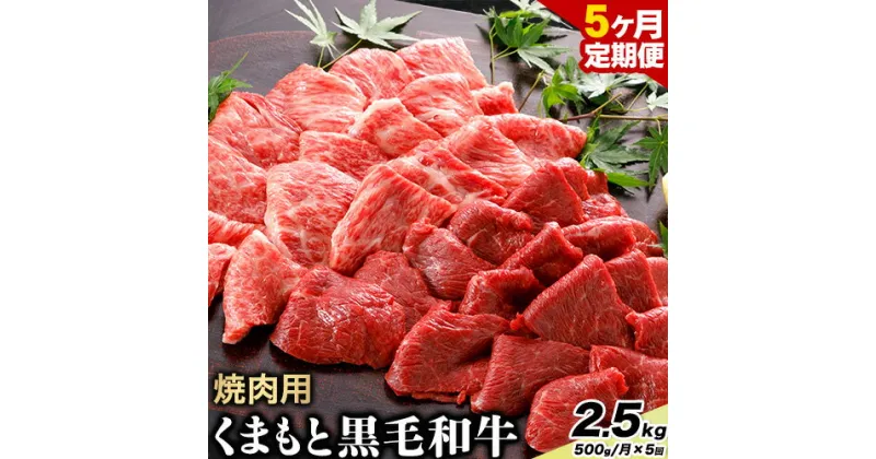 【ふるさと納税】【5ヶ月定期便】牛肉 くまもと黒毛和牛 焼肉用 500g 計2.5kg 長洲501《お申込み月翌月以降の出荷月から出荷開始》定期便 計5回お届け