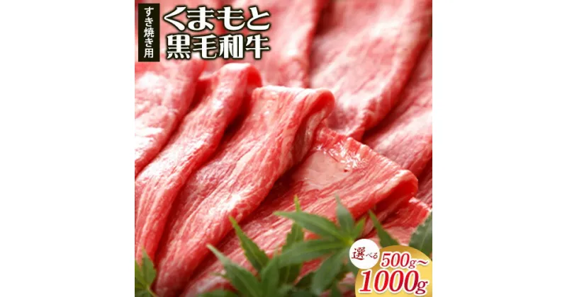 【ふるさと納税】牛肉 くまもと黒毛和牛 すき焼き用 500g 1000g 肉 黒毛和牛 すき焼き 長洲501《30日以内に出荷予定(土日祝除く)》