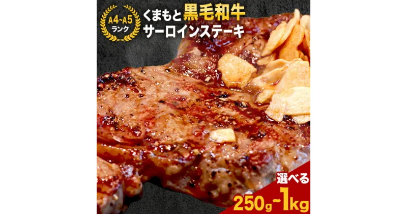 【ふるさと納税】 【A4～A5】くまもと黒毛和牛 サーロインステーキ 選べる 250g 500g 1kg 《30日以内に出荷予定(土日祝除く)》 牛肉 くまもと黒毛和牛 黒毛和牛 冷凍庫 サーロイン ステーキ