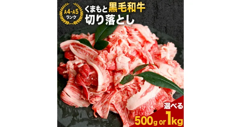 【ふるさと納税】 【A4～A5】くまもと黒毛和牛 切り落とし 選べる 500g 1kg 《30日以内に出荷予定(土日祝除く)》 牛肉 くまもと黒毛和牛 黒毛和牛 冷凍庫 切り落とし