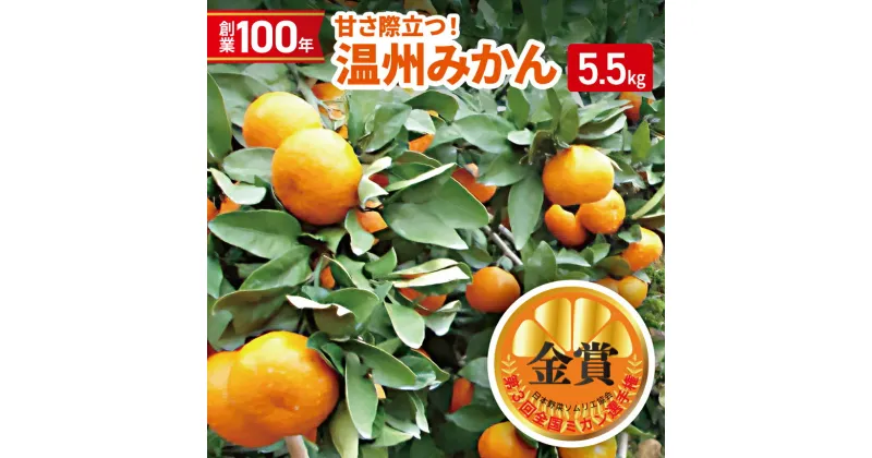 【ふるさと納税】創業100年 甘さ際立つ！熊本温州みかん 5.5kg | 熊本県 熊本 くまもと 和水町 なごみまち なごみ 柑橘 柑橘類 ミカン ミカン みかん 温州ミカン 温州みかん