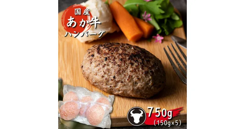 【ふるさと納税】 旨味濃縮あか牛100％ハンバーグ (150g×5個）750g あか牛 ハンバーグ 肉 赤牛 牛肉 加工品 加工肉 大容量 小分け 国産 熊本県 和水町