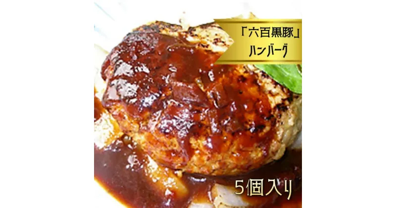 【ふるさと納税】黒いダイヤモンド「六白黒豚」ハンバーグ (約125g)×5個 肉 豚肉 六白黒豚 黒豚 ハンバーグ 小分け 国産 熊本県 和水町