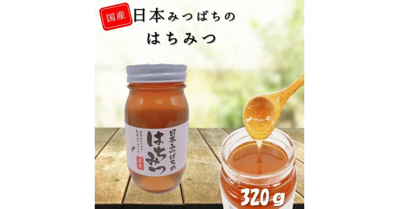 【ふるさと納税】和水町産 日本蜜蜂のはちみつ「希少品」 320g