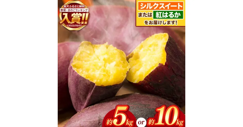 【ふるさと納税】 さつまいも ( 蜜芋 ) 約5 or 10kg　密芋 シルクスイート or 紅はるか 野菜 大容量 国産 熊本県 和水町　訳あり くまもと県 甘藷 からいも サツマイモ かんしょ 芋 大小混合 サイズ混合 傷 スレ 食物繊維豊富