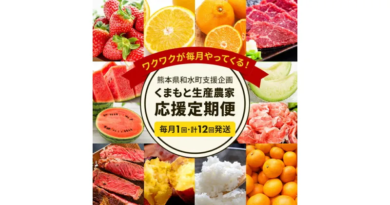 【ふるさと納税】 くまもと 生産 農家 応援 定期便 ( 定期便 12回 ( 毎月 ) ) フルーツ さつまいも メロン 小玉スイカ 小玉 スイカ 不知火 馬刺し いちご みかん あか牛 ステーキ 火の本豚 柑橘類 国産 熊本県 和水町 豚肉 コロナ支援 農家支援