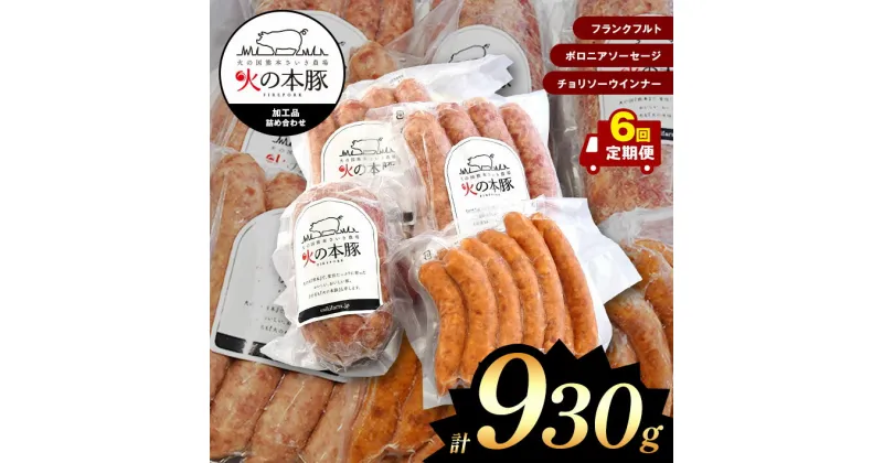 【ふるさと納税】 「火の本豚」 加工品詰め合わせ[フランクフルト60g×4本入り×2パック ボロニアソーセージ250g チョリソーウインナー20g×10本](定期便6回) 火の本豚 ソーセージ 肉 豚肉 加工品 加工肉 ウインナー　熊本県　和水町