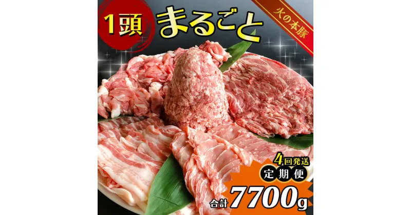 【ふるさと納税】火の本豚 一頭まるごと便 合計7700g (定期便4回)　豚肉 7.7kg 豚ロース 肉 豚バラスライス 豚肩ローススライス 豚モモカタ切り落とし 大容量 小分け 国産 熊本県 和水町