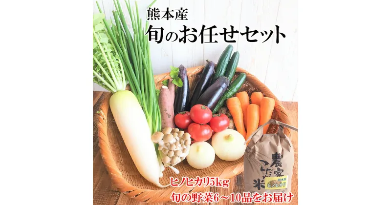 【ふるさと納税】 お米(ヒノヒカリ)5kg・旬の野菜セット(6〜10品目) 野菜 米 ヒノヒカリ 詰め合わせ お任せ 国産 熊本県 和水町